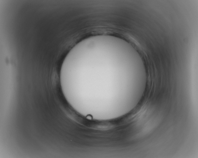 X0000113870459200909241009