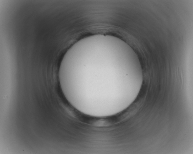 X0000113870460200909241009