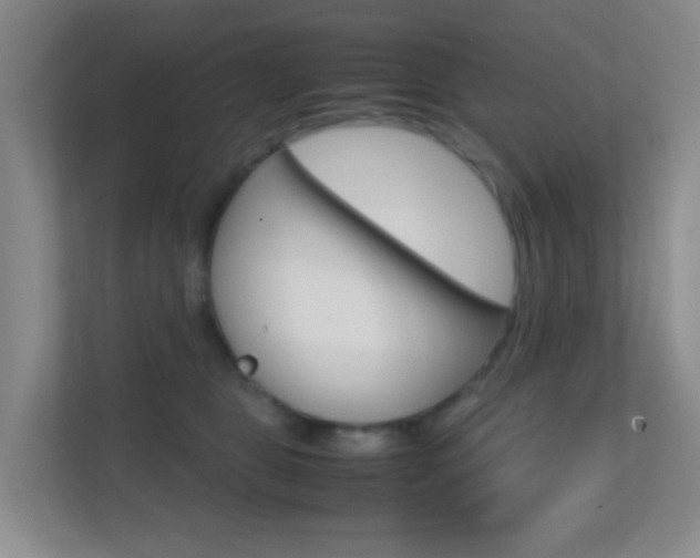X0000113870469200909241010