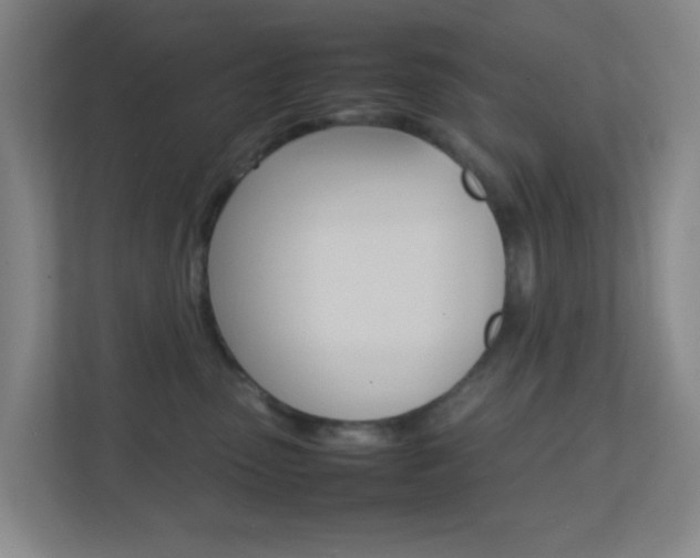 X0000113870475200909241010