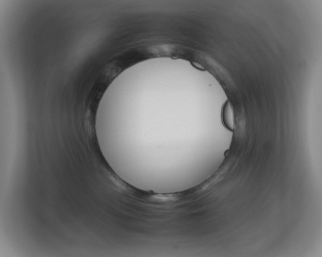 X0000113870477200909241010