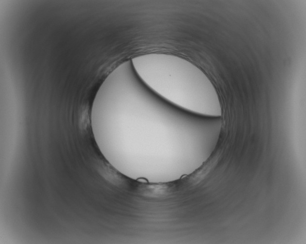 X0000113870478200909241010