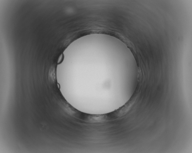 X0000113870479200909241010