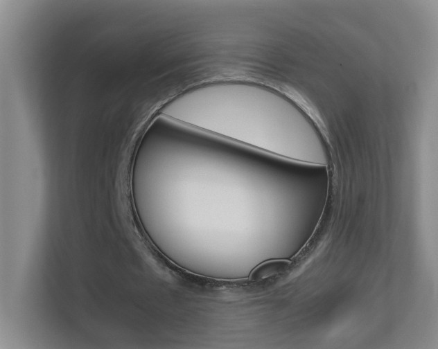 X0000113870481200909241009