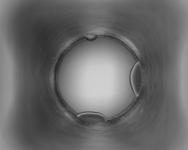 X0000113870485200909241009