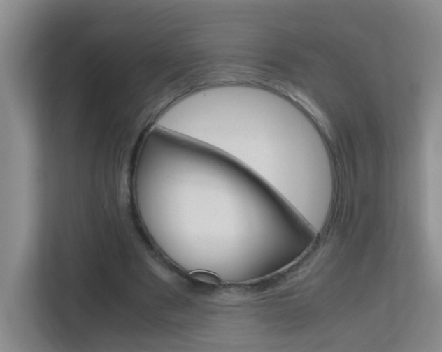 X0000113870489200909241009