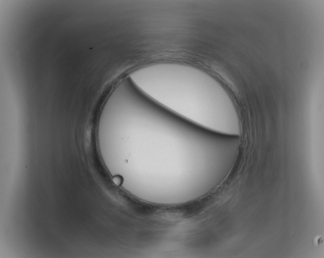 X0000113870491200909241009