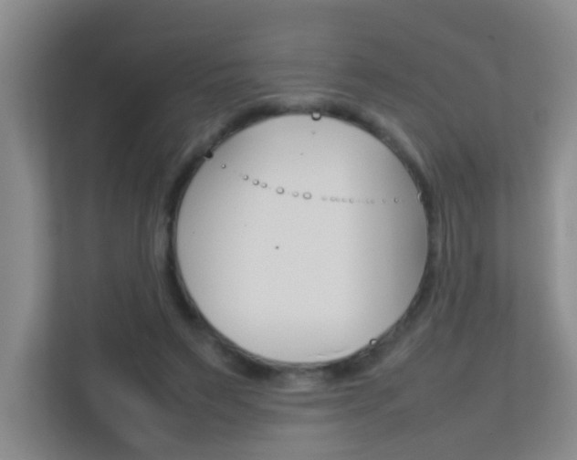 X0000113870495200909241009