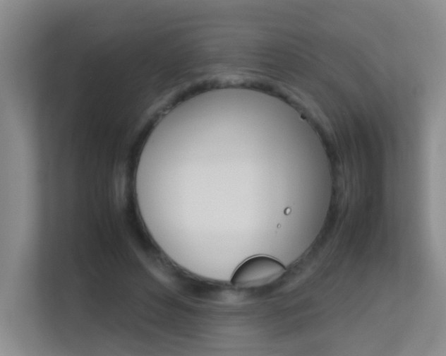 X0000113870496200909241009