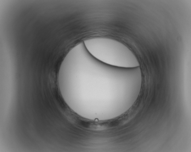 X0000113870498200909241009
