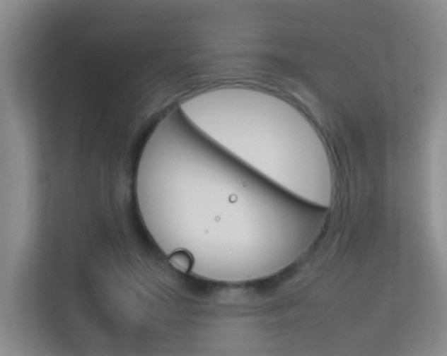 X0000113870499200909241009
