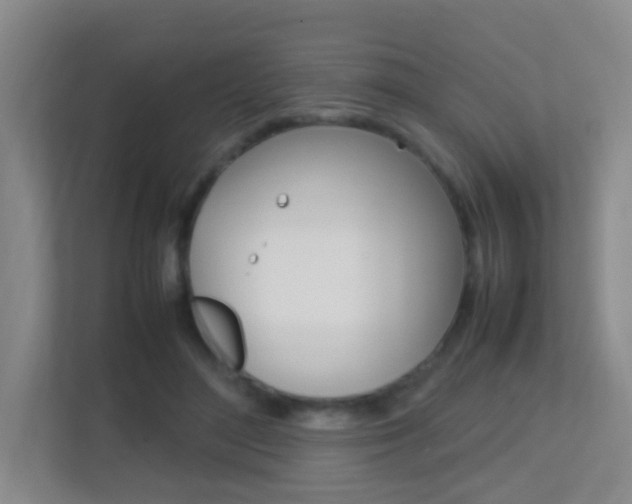 X0000113870500200909241009