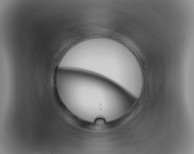 X0000113870501200909241009