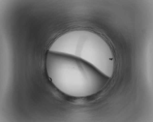 X0000113870505200909241009