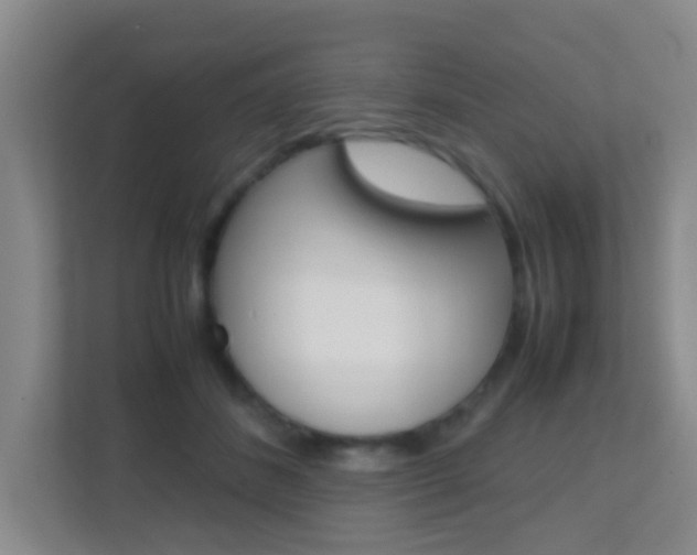 X0000113870508200909241009