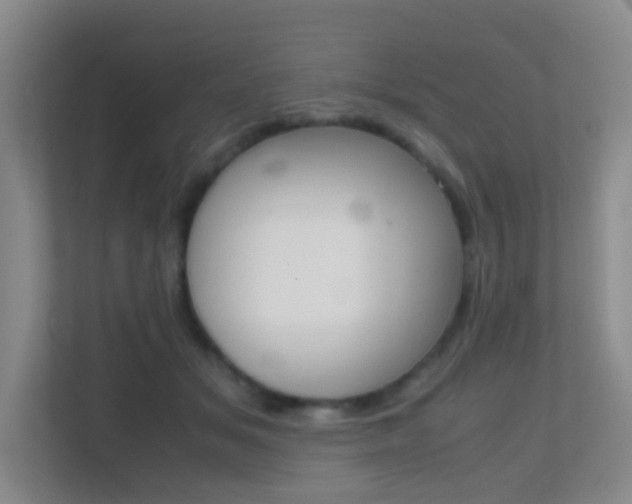 X0000113870509200909241009