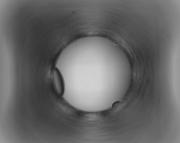X0000113870516200909241009