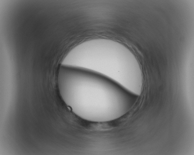 X0000113870517200909241009