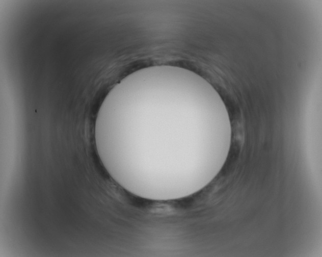 X0000113870519200909241009