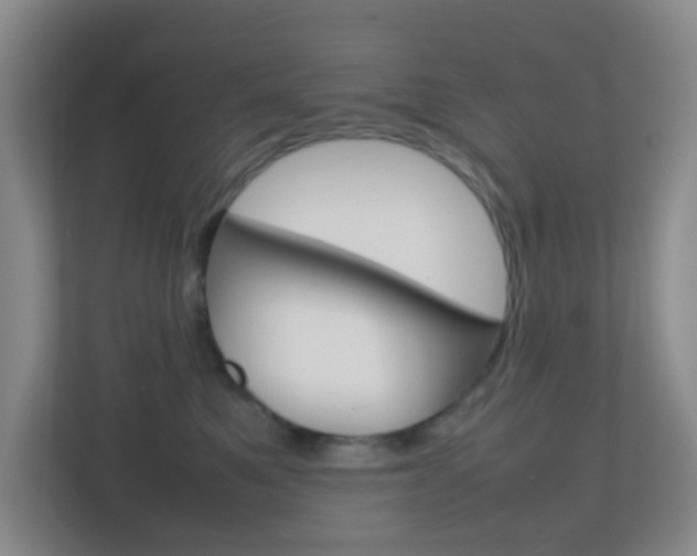 X0000113870521200909241009