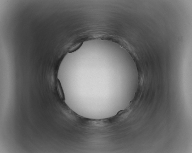 X0000113870524200909241009