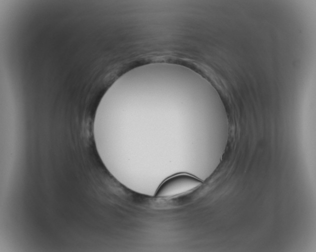 X0000113870525200909241009