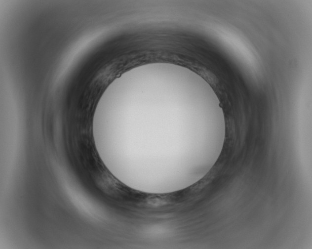 X0000113870526200909241009