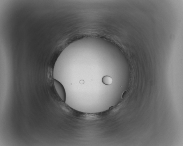 X0000113870528200909241008