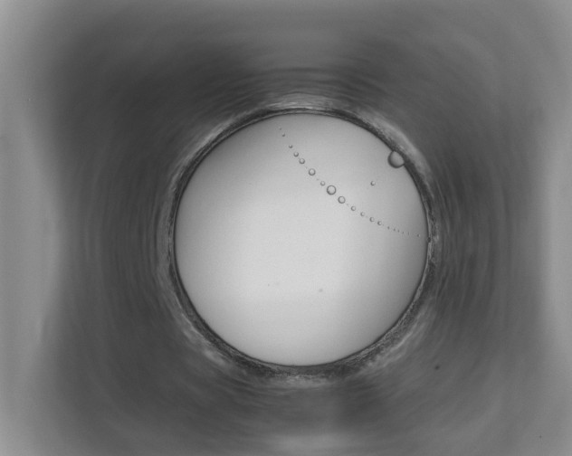 X0000113870529200909241008