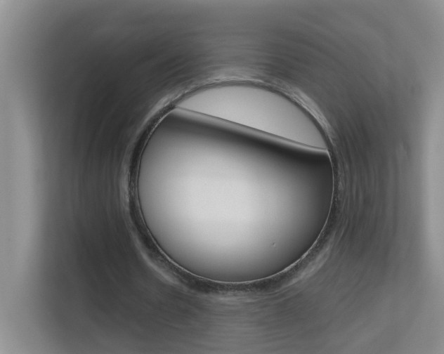X0000113870530200909241008