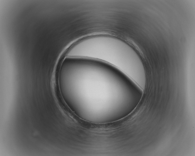 X0000113870532200909241008