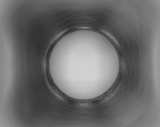 X0000113870533200909241008