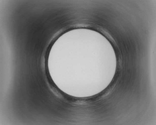 X0000113870534200909241008