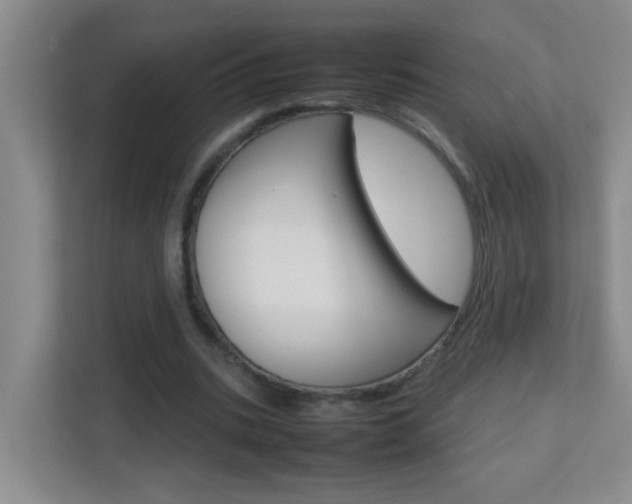 X0000113870535200909241008