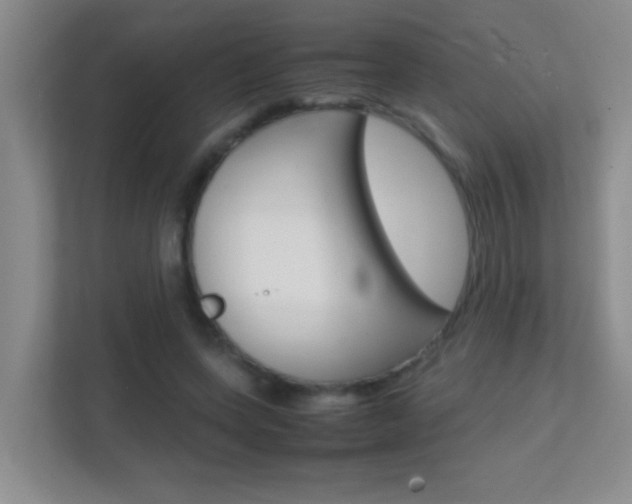 X0000113870543200909241008