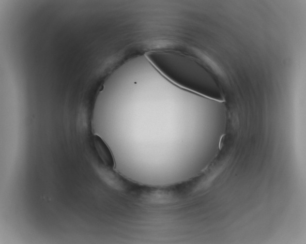 X0000113870546200909241008