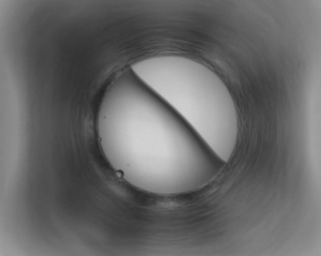 X0000113870547200909241008