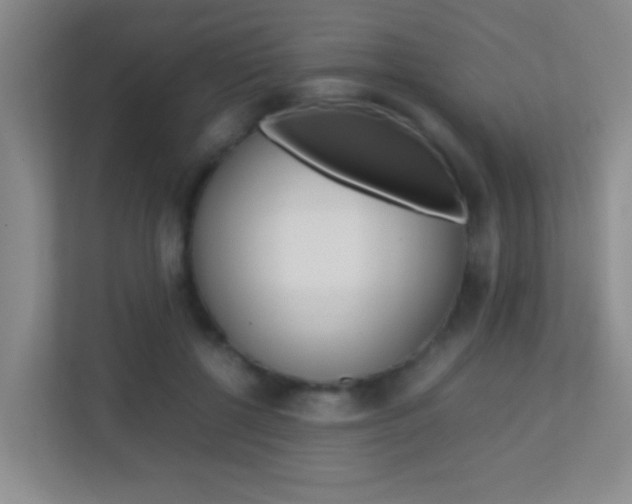 X0000113870552200909241008