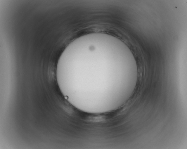 X0000113870553200909241008