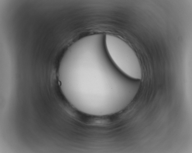 X0000113870555200909241008