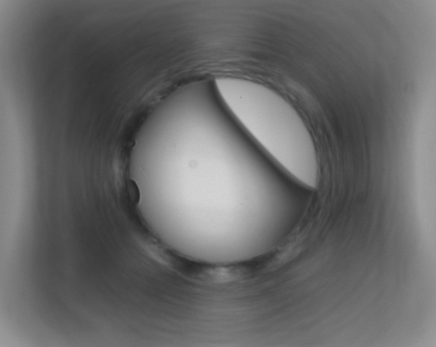 X0000113870558200909241008