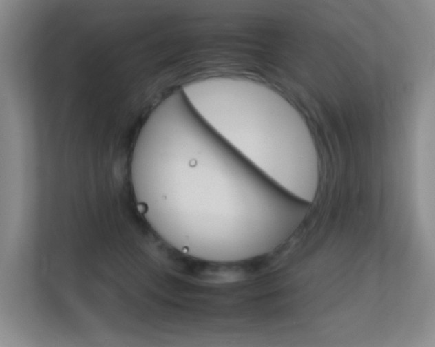 X0000113870559200909241008