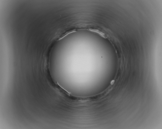 X0000113870560200909241008