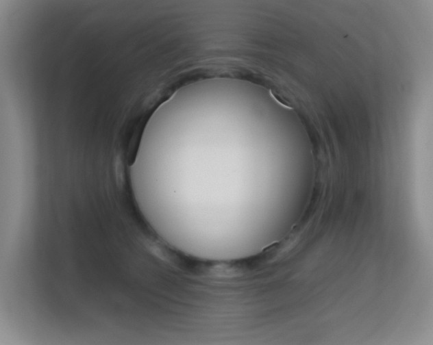 X0000113870562200909241008