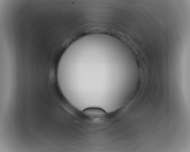 X0000113870564200909241008