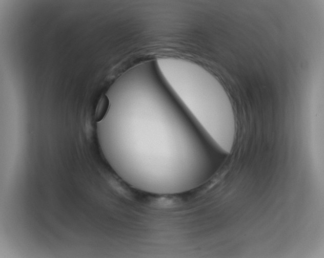 X0000113870566200909241008
