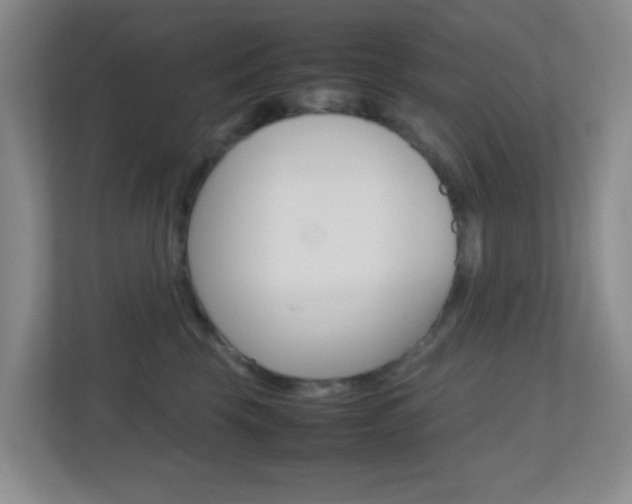 X0000113870569200909241008