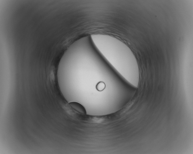 X0000113870570200909241008