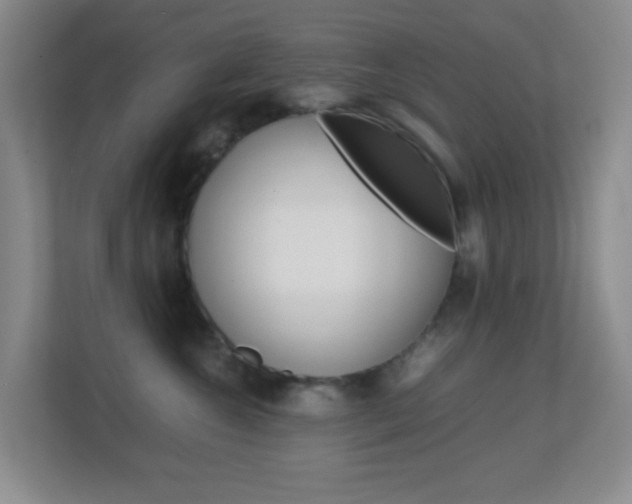 X0000113870572200909241008
