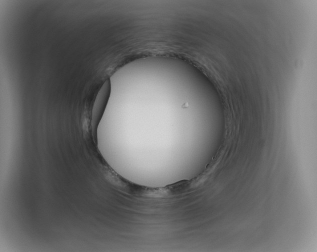 X0000113870576200909241008